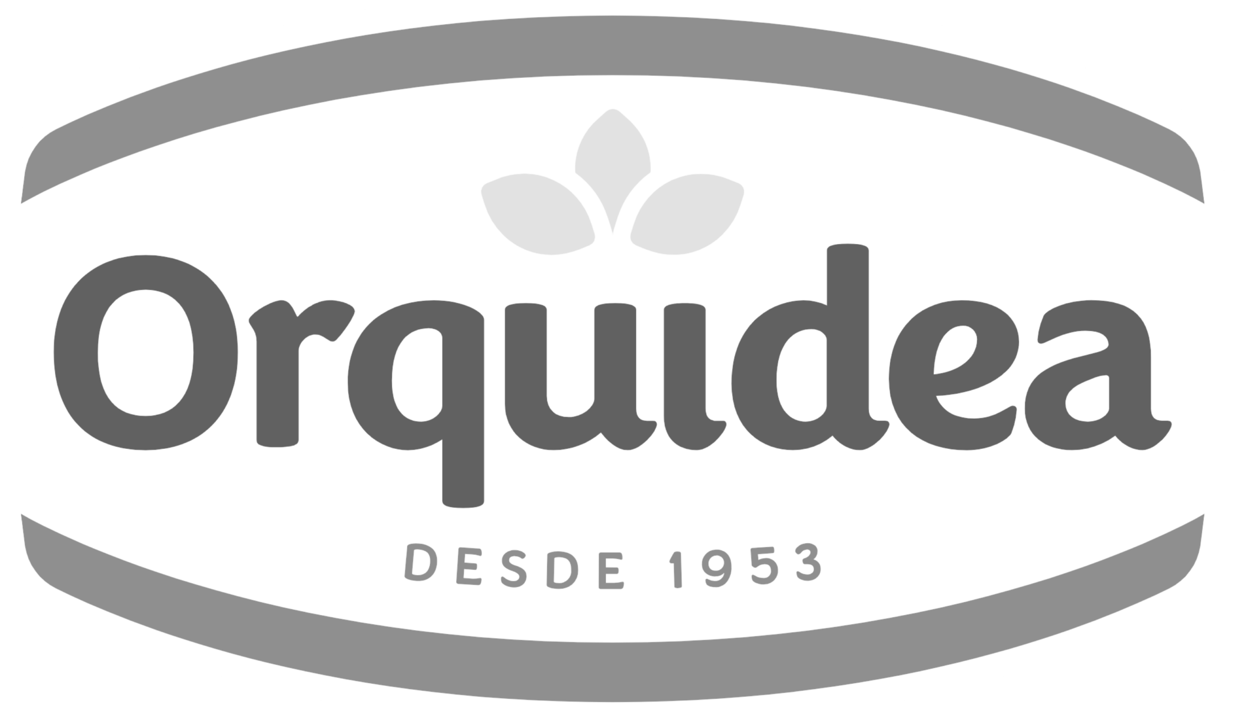 Orquídea